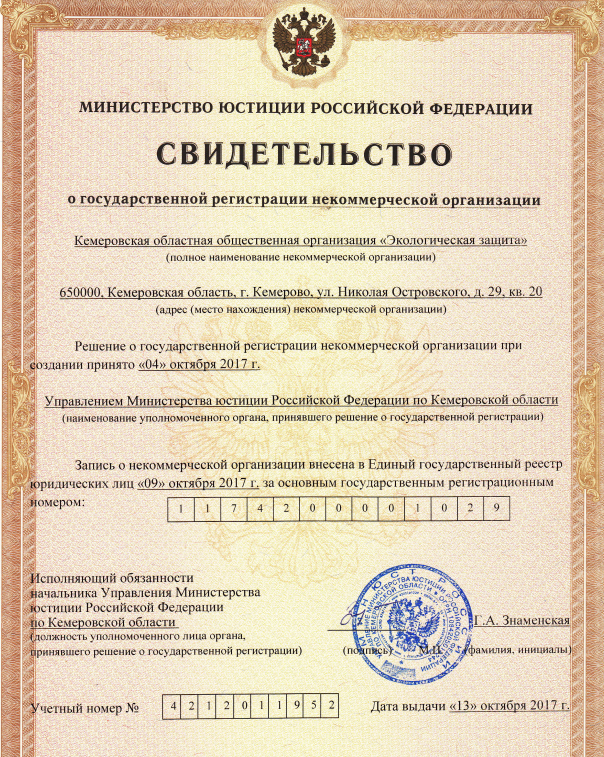 Как зарегистрировать нко пошаговая Как зарегистрировать нко пошаговая