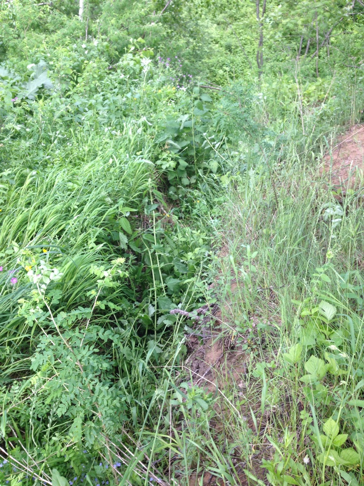 image-12-06-15-15_14-2.jpeg image-12-06-15-15_14-2.jpeg