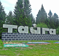 В Тайге новый скандал, прошла забастовка В Тайге новый скандал, прошла забастовка