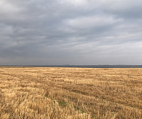 Колхоз дело прибыльное Колхоз дело прибыльное