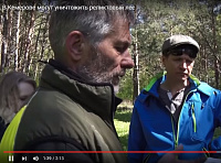 Чиновники не хотят возвращать леса, выделенные постановлением губернатора Чиновники не хотят возвращать леса, выделенные постановлением губернатора