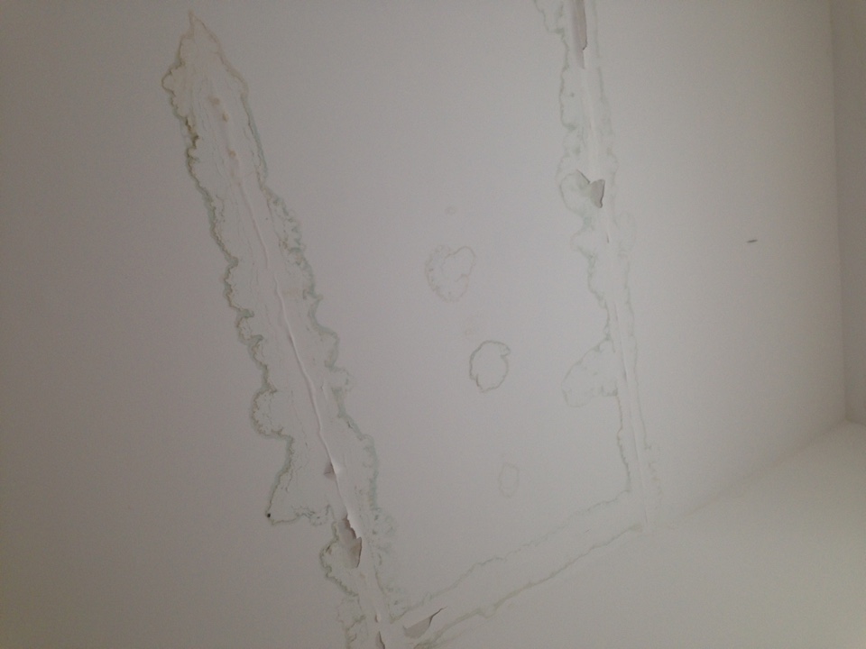 image-29-06-16-15-41-5.jpeg