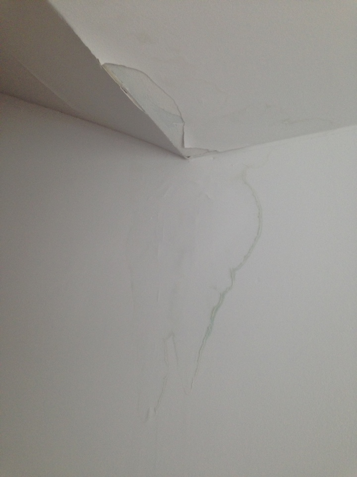 image-29-06-16-15-41-4.jpeg