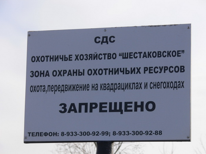 10006539.jpg