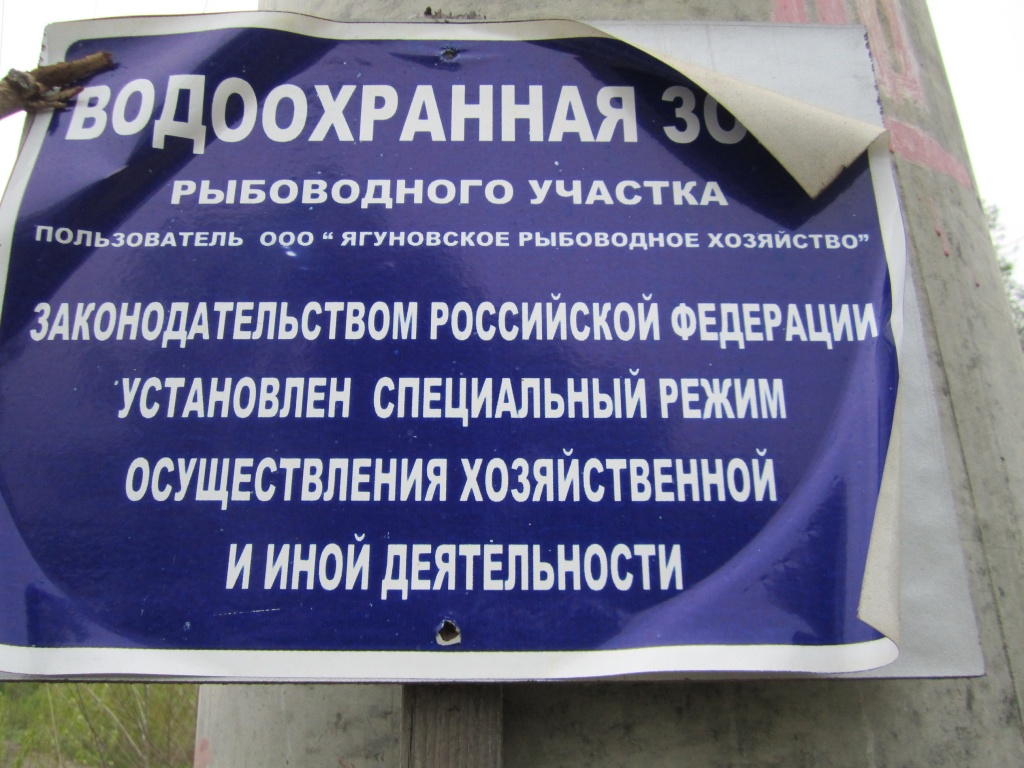 IMG_0079.JPG