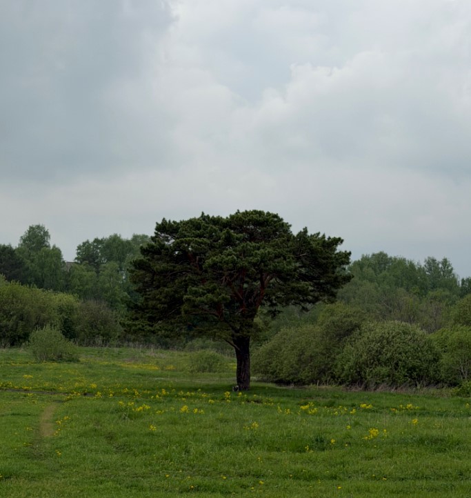 Screenshot_7.jpg