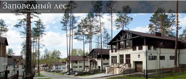 темнохвойная тайга висимский заповедник. заповедный лес 6. заповедный лес 6. заповедный лес кемерово коттеджный поселок. черустинский лес заповедник.