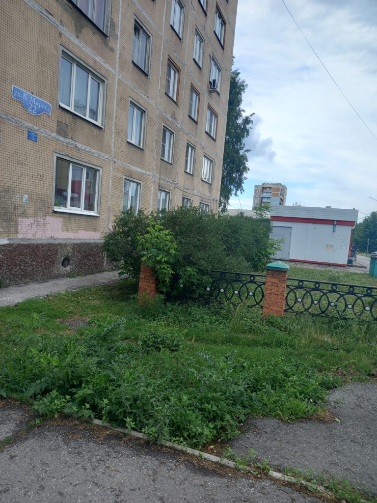 b7ddfdb3-5596-41f2-b054-d8d00adaea22.jpg