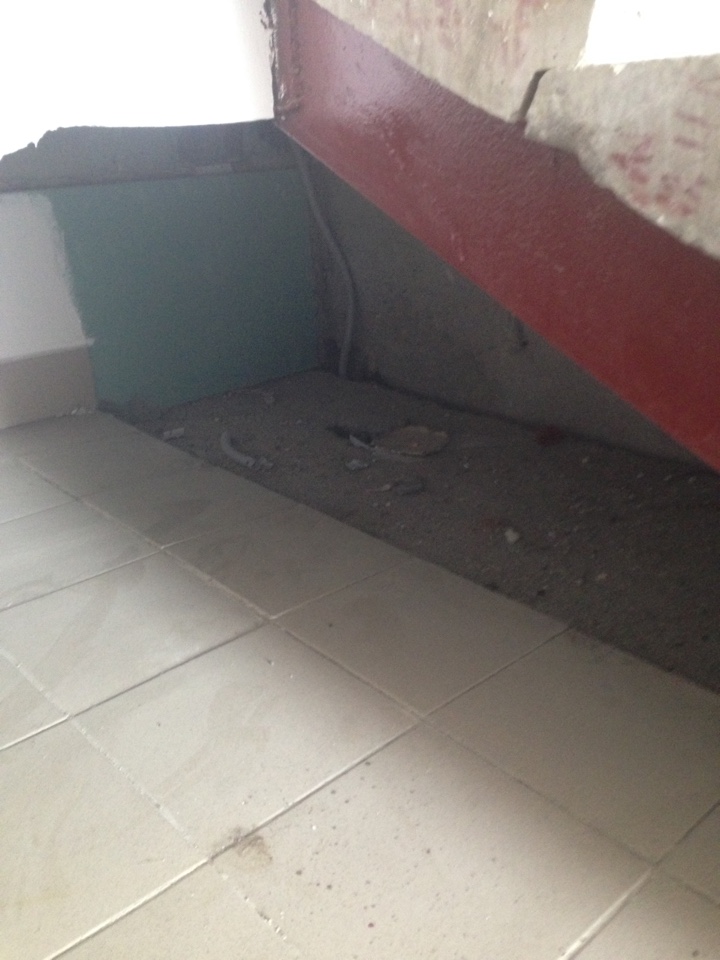 image-29-06-16-15-41-18.jpeg