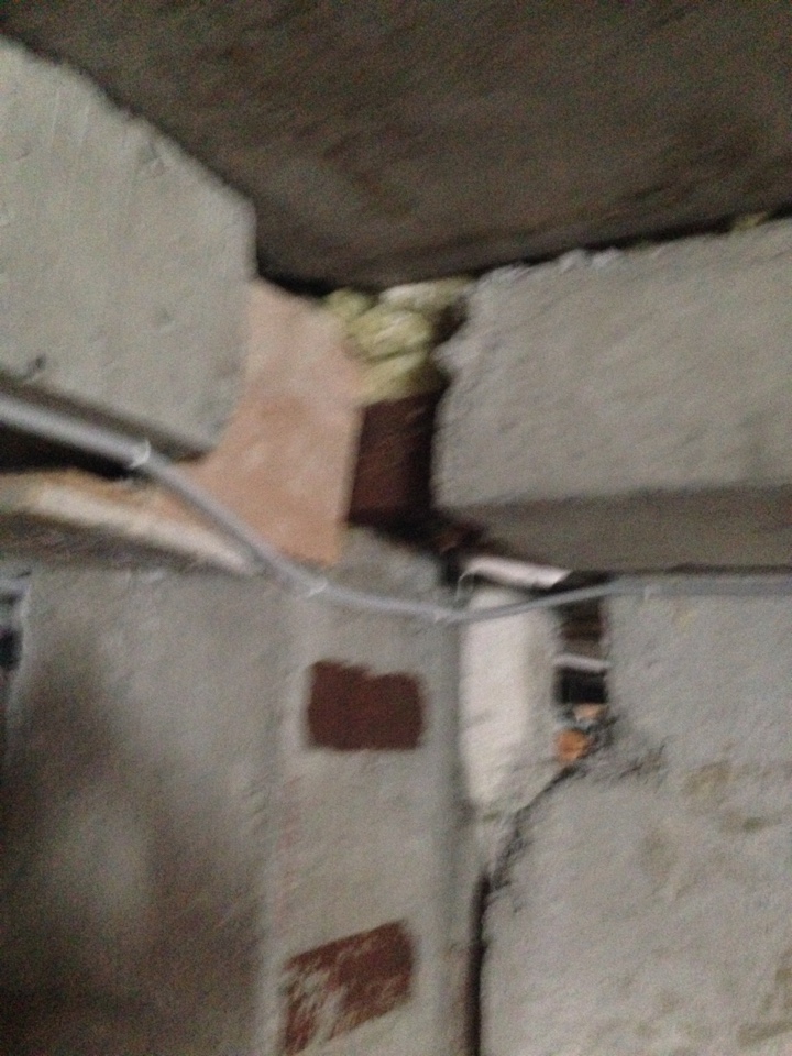 image-29-06-16-15-14-24.jpeg