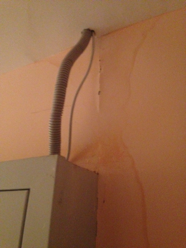image-29-06-16-15-41-15.jpeg