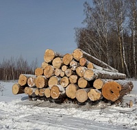 ����� �������� ����������� � ��������� ������