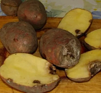 ����� �������, ������ ��������