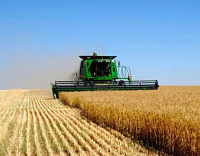 "���������������� �����" ������ � ����