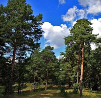 �������� ��� ��������� ������� 1� ������� ��������� � �������� ����