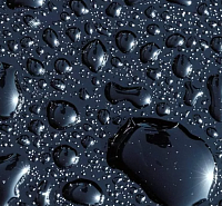 "����� �����" �� ������ � ����������