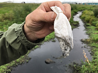 ����������� �� �������� ���������� ������������ ������