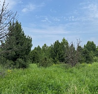 �������� �������