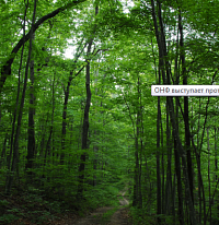 ��� ��������� ������ ��������� ��������� ����, ����� � �������������������� ������